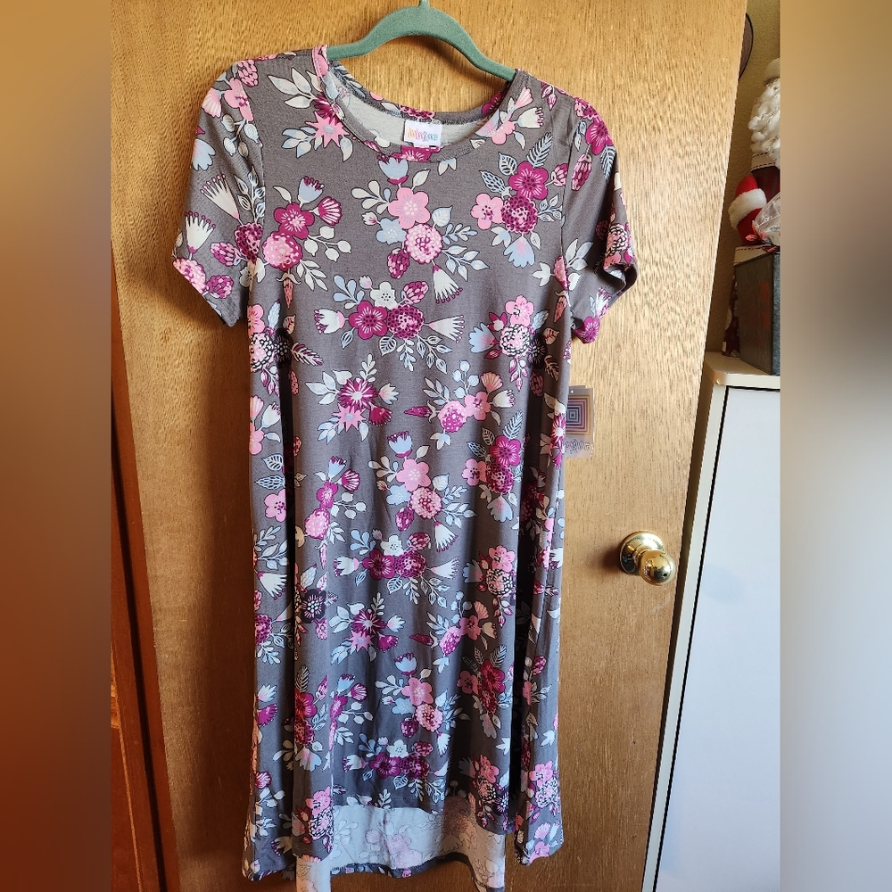Lularoe Small Carly bundle